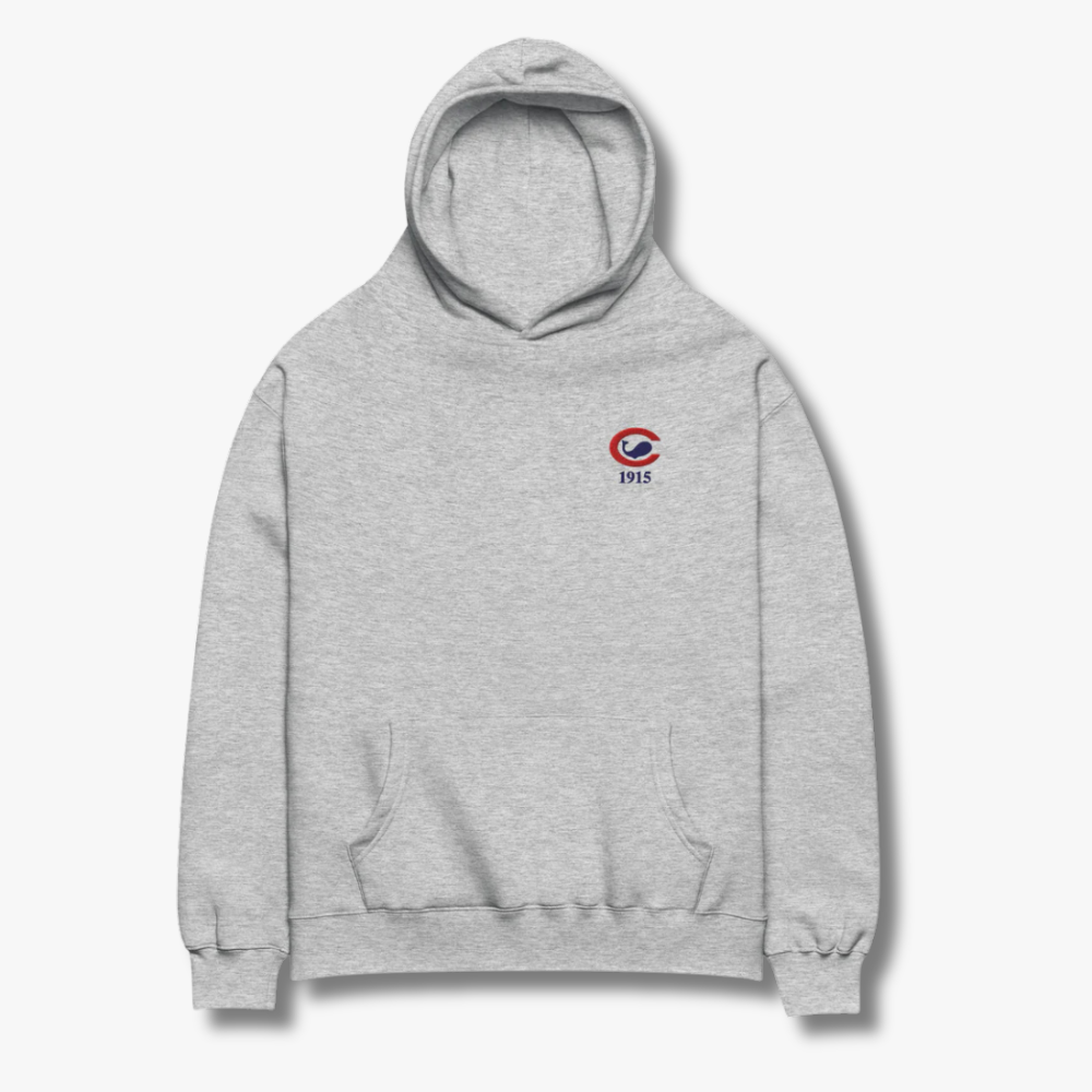 Chicago Whales Embroidered Oversized Hoodie